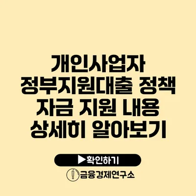 개인사업자 정부지원대출 정책 자금 지원 내용 상세히 알아보기