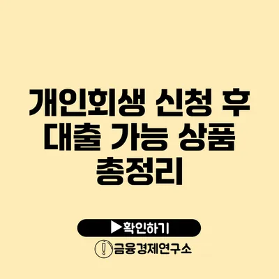 개인회생 신청 후 대출 가능 상품 총정리