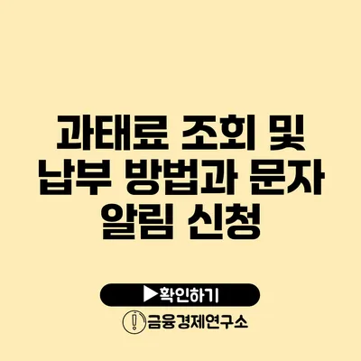 과태료 조회 및 납부 방법과 문자 알림 신청