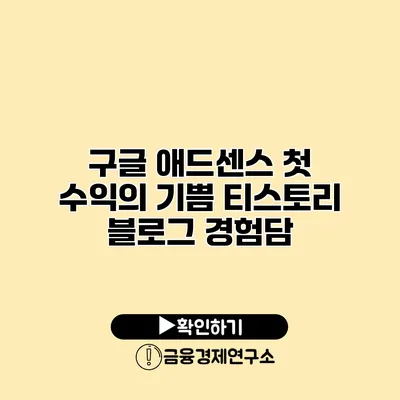 구글 애드센스 첫 수익의 기쁨 티스토리 블로그 경험담