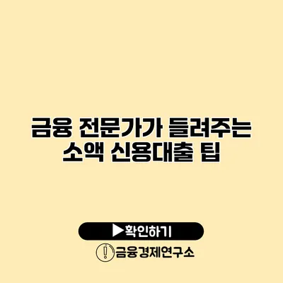 금융 전문가가 들려주는 소액 신용대출 팁