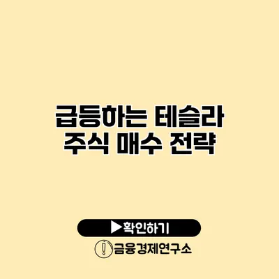 급등하는 테슬라 주식 매수 전략