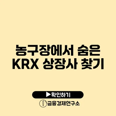 농구장에서 숨은 KRX 상장사 찾기