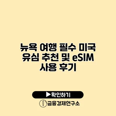 뉴욕 여행 필수 미국 유심 추천 및 eSIM 사용 후기