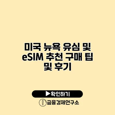 미국 뉴욕 유심 및 eSIM 추천 구매 팁 및 후기