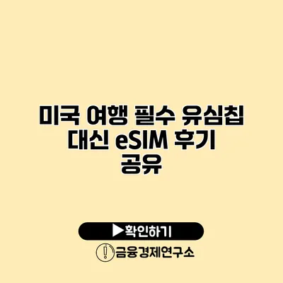 미국 여행 필수 유심칩 대신 eSIM 후기 공유