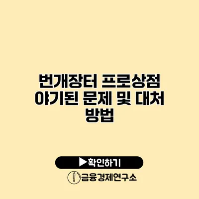 번개장터 프로상점 야기된 문제 및 대처 방법