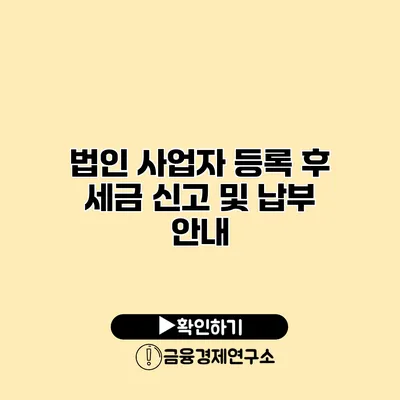 법인 사업자 등록 후 세금 신고 및 납부 안내