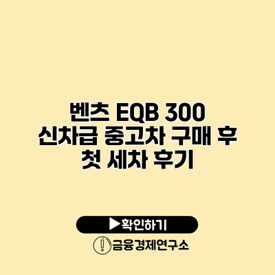 벤츠 EQB 300 신차급 중고차 구매 후 첫 세차 후기