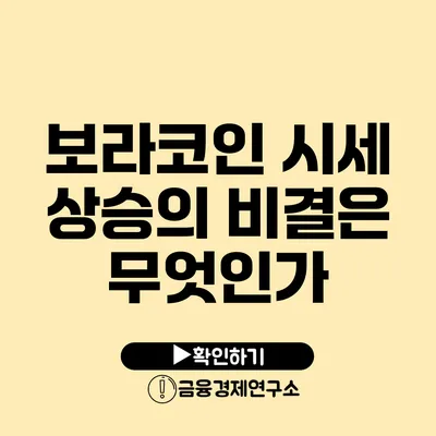 보라코인: 시세 상승의 비결은 무엇인가?