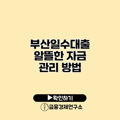 부산일수대출 알뜰한 자금 관리 방법