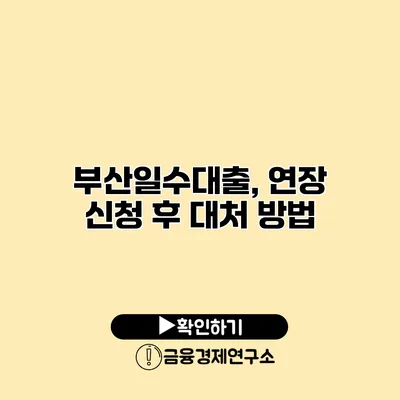 부산일수대출, 연장 신청 후 대처 방법