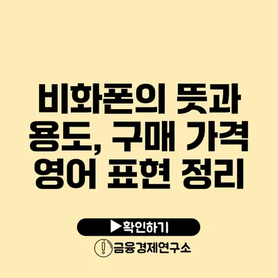 비화폰의 뜻과 용도, 구매 가격 영어 표현 정리