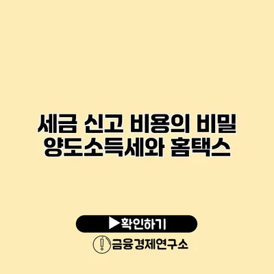 세금 신고 비용의 비밀 양도소득세와 홈택스