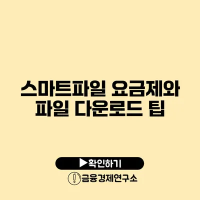 스마트파일 요금제와 파일 다운로드 팁