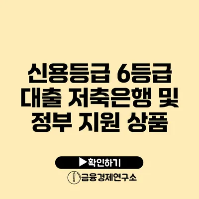 신용등급 6등급 대출 저축은행 및 정부 지원 상품