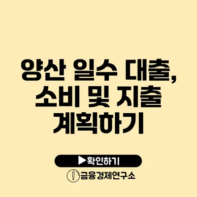 양산 일수 대출, 소비 및 지출 계획하기