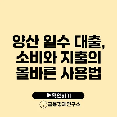 양산 일수 대출, 소비와 지출의 올바른 사용법