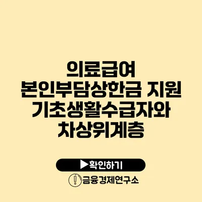 의료급여 본인부담상한금 지원: 기초생활수급자와 차상위계층