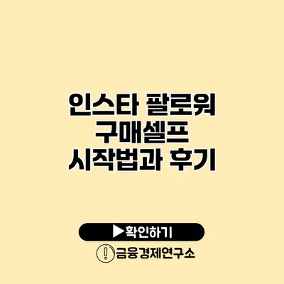 인스타 팔로워 구매셀프 시작법과 후기