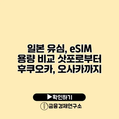 일본 유심, eSIM 용량 비교 삿포로부터 후쿠오카, 오사카까지