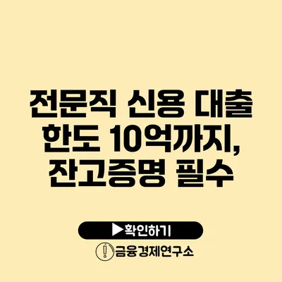 전문직 신용 대출 한도 10억까지, 잔고증명 필수