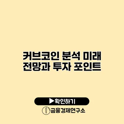 커브코인 분석 미래 전망과 투자 포인트