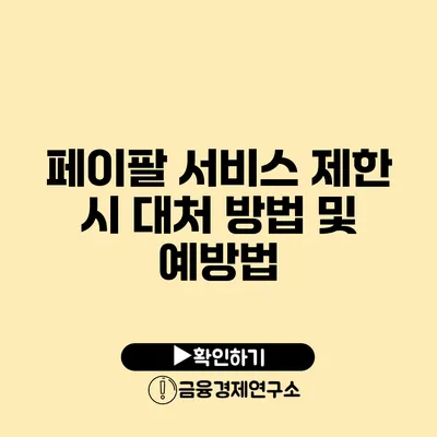 페이팔 서비스 제한 시 대처 방법 및 예방법