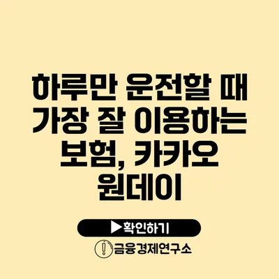 하루만 운전할 때 가장 잘 이용하는 보험, 카카오 원데이