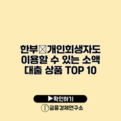 한부�개인회생자도 이용할 수 있는 소액 대출 상품 TOP 10