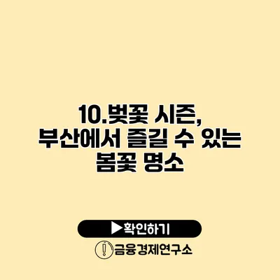 10.벚꽃 시즌, 부산에서 즐길 수 있는 봄꽃 명소