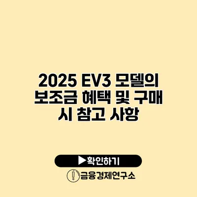 2025 EV3 모델의 보조금 혜택 및 구매 시 참고 사항