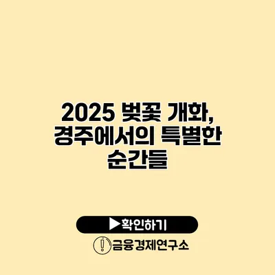 2025 벚꽃 개화, 경주에서의 특별한 순간들