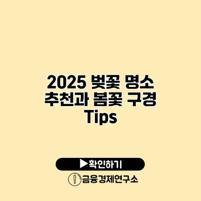 2025 벚꽃 명소 추천과 봄꽃 구경 Tips