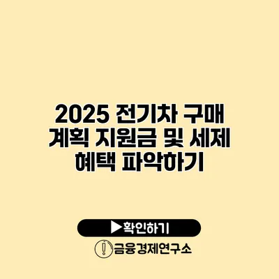 2025 전기차 구매 계획 지원금 및 세제 혜택 파악하기