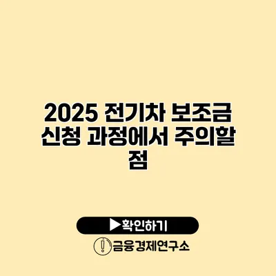 2025 전기차 보조금 신청 과정에서 주의할 점