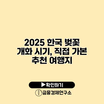 2025 한국 벚꽃 개화 시기, 직접 가본 추천 여행지