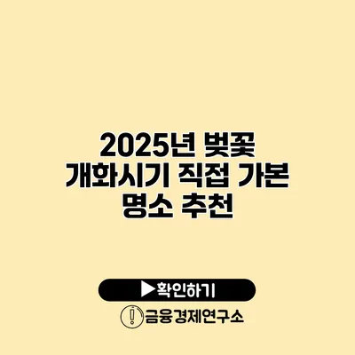 2025년 벚꽃 개화시기 직접 가본 명소 추천