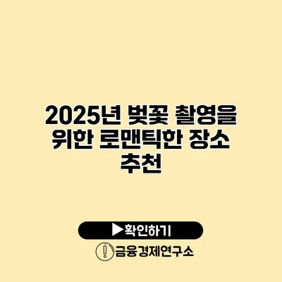 2025년 벚꽃 촬영을 위한 로맨틱한 장소 추천