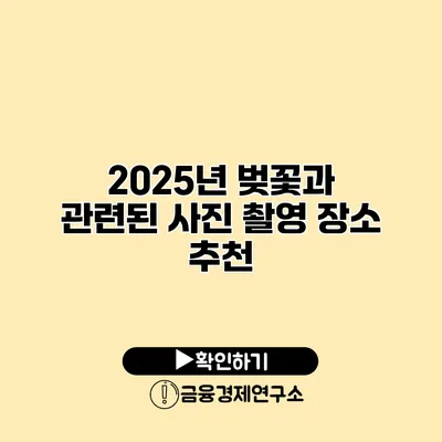 2025년 벚꽃과 관련된 사진 촬영 장소 추천