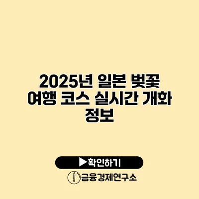 2025년 일본 벚꽃 여행 코스 실시간 개화 정보