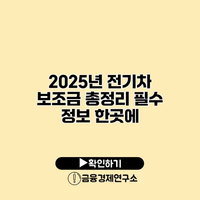 2025년 전기차 보조금 총정리 필수 정보 한곳에