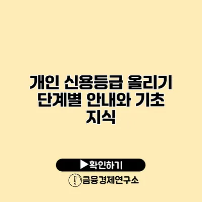 개인 신용등급 올리기 단계별 안내와 기초 지식