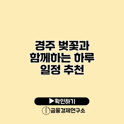 경주 벚꽃과 함께하는 하루 일정 추천