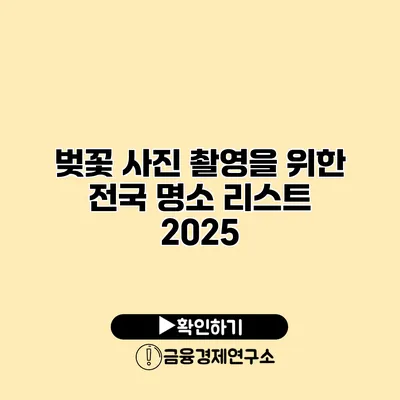 벚꽃 사진 촬영을 위한 전국 명소 리스트 2025