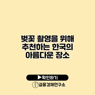 벚꽃 촬영을 위해 추천하는 한국의 아름다운 장소