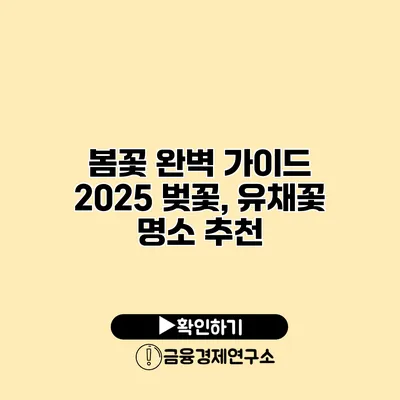 봄꽃 완벽 가이드 2025 벚꽃, 유채꽃 명소 추천