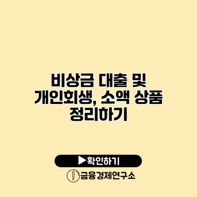 비상금 대출 및 개인회생, 소액 상품 정리하기