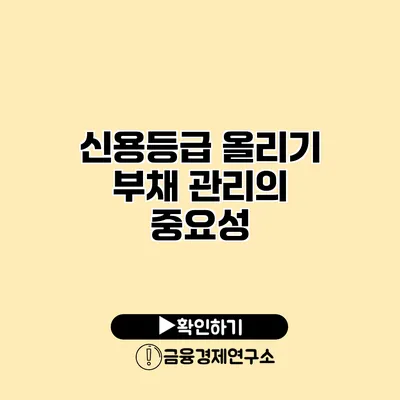 신용등급 올리기 부채 관리의 중요성