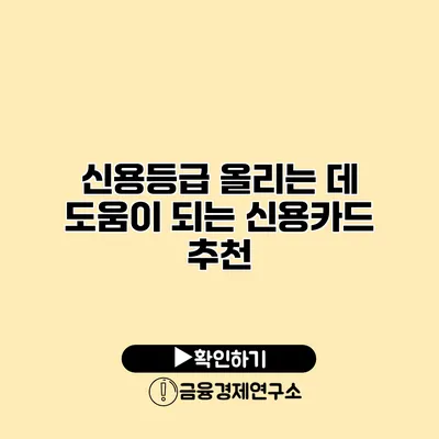 신용등급 올리는 데 도움이 되는 신용카드 추천